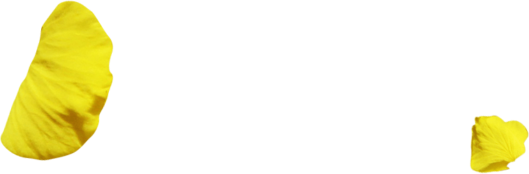 section4_petal
